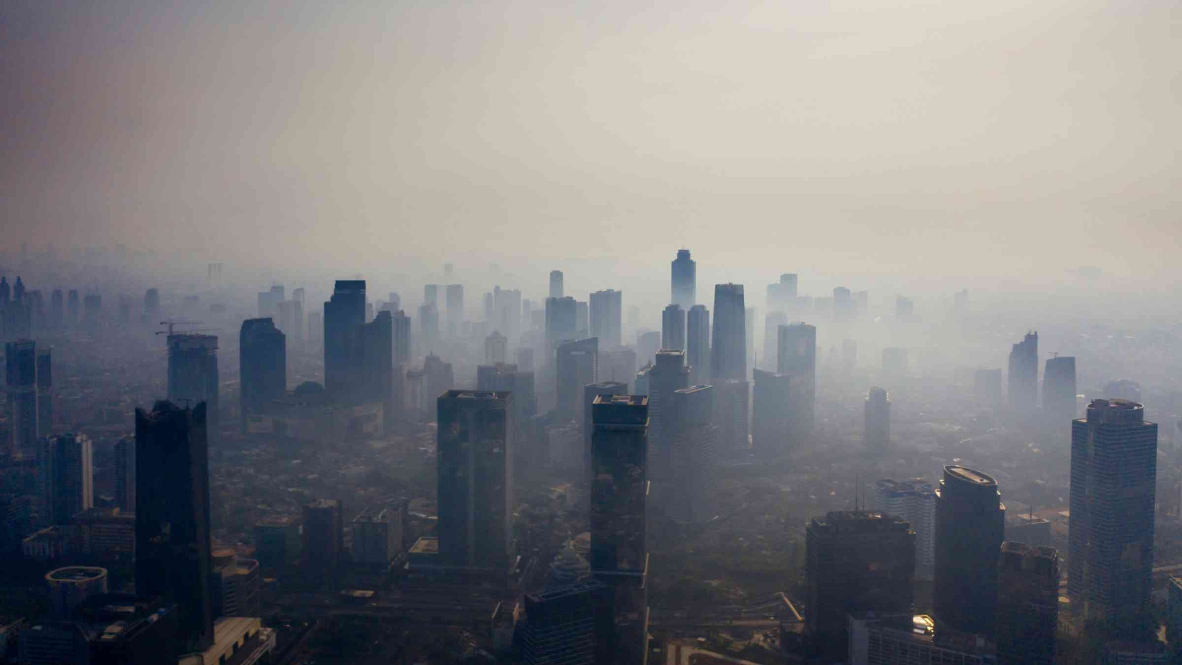 Image showing air polution in Indonesia by large fires