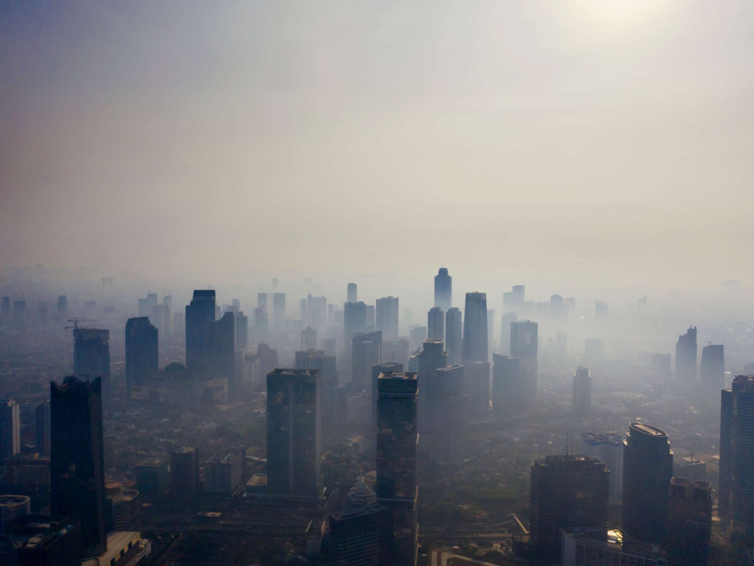 Image showing air polution in Indonesia by large fires