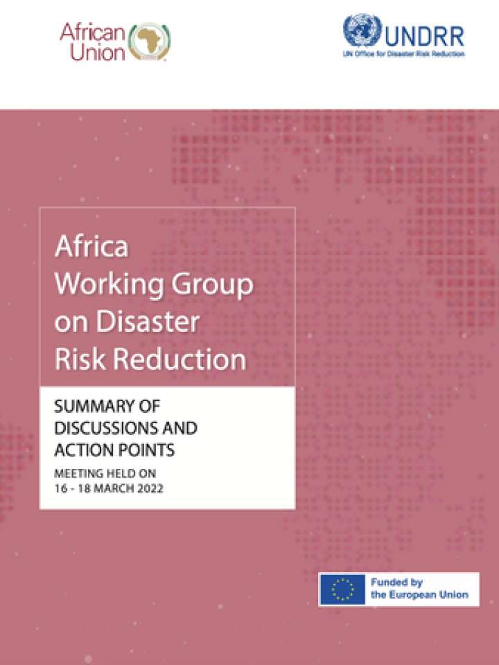 17th Africa Working Group