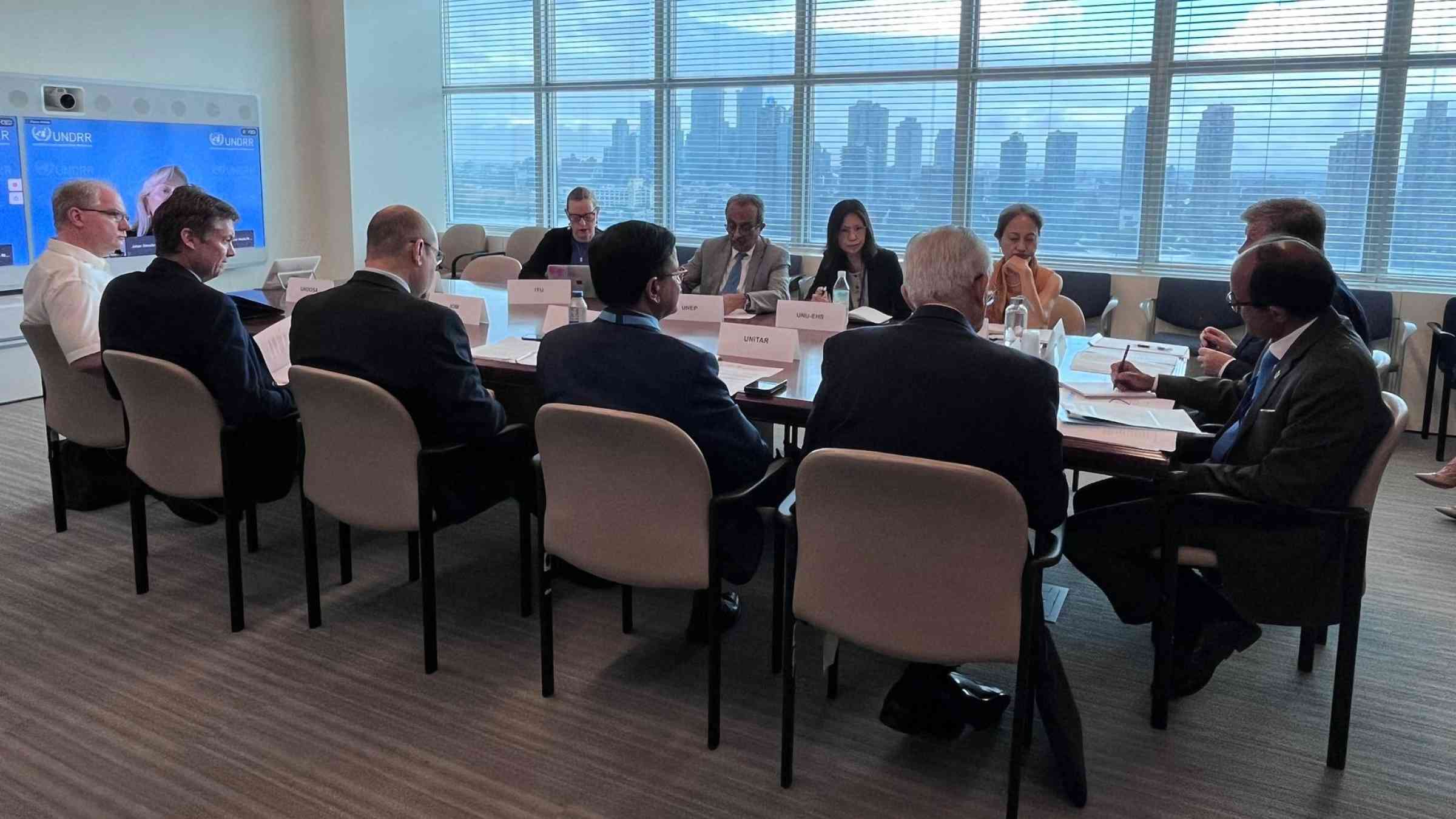 United Nations Senior Leadership Group on Disaster Risk Reduction for Resilience